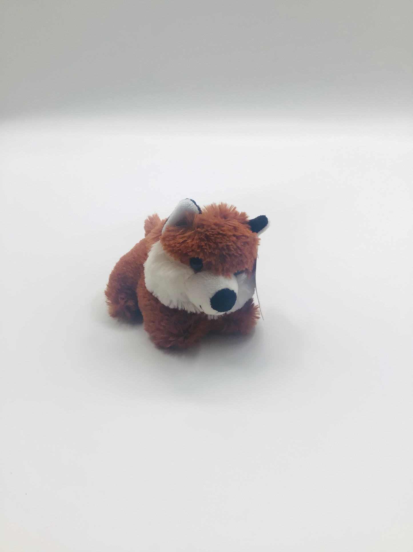 Tiny fox bear