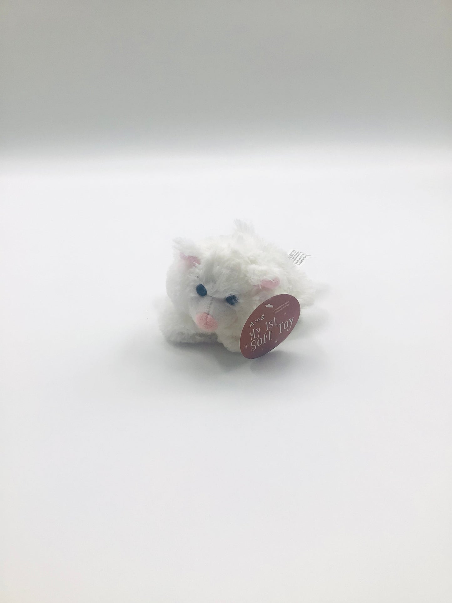 Tiny cat bear