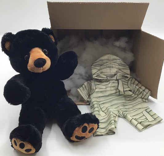 Build a bear gift box with outfit 16”